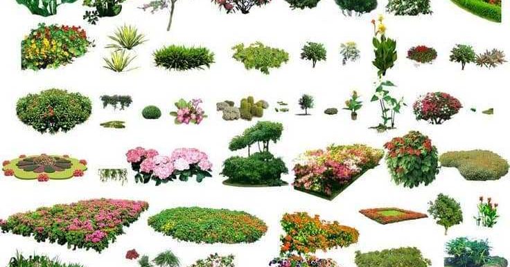 Line Design Landscape